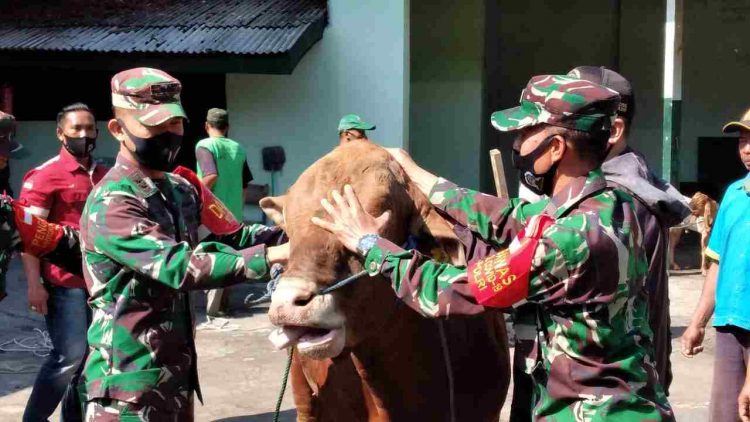 Tingkatkan Kepedulian Sosial dan Semangat Berbagi, Personel Kodim 0833 Bagikan Daging Qurban