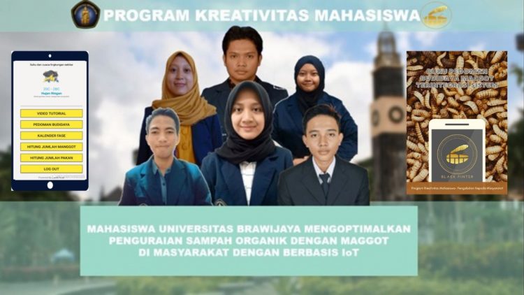 Inovasi Daur Ulang Sampah Organik Memanfaatkan Maggot Black Soldier Fly