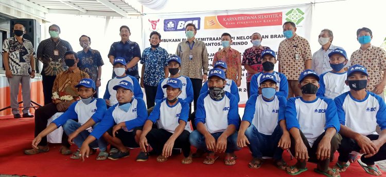 Peternak Sapi Di Gunung Kawi Diberi Pinjaman Hingga 500 Juta Perorang