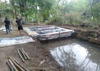 Bantu Penuhi Kebutuhan Pangan warga, Babinsa Ajarkan Budidaya Ikan Lele