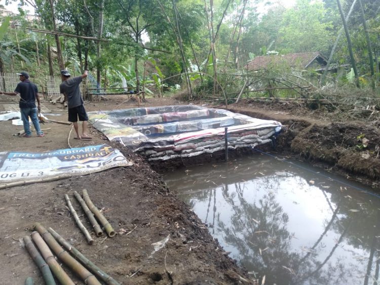 Bantu Penuhi Kebutuhan Pangan warga, Babinsa Ajarkan Budidaya Ikan Lele