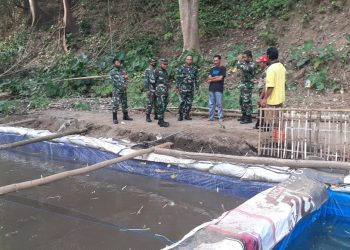 Warga RW 7 Pisang Candi Lakukan Budidaya Lele Untuk Tingkatkan Perekonomian