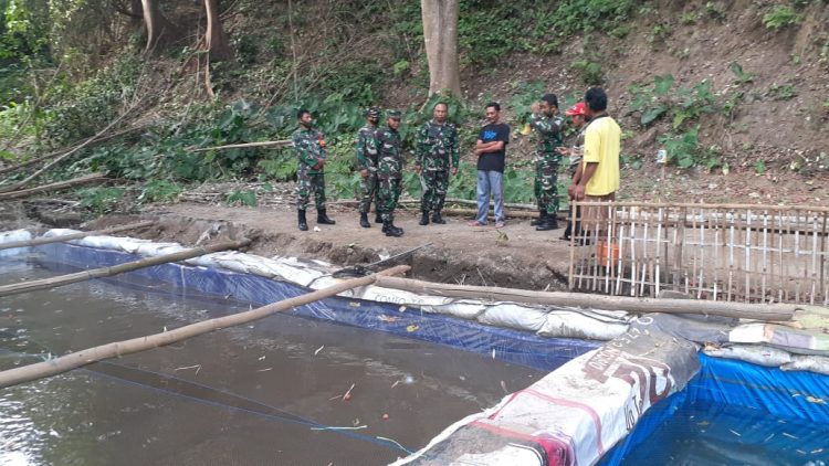 Warga RW 7 Pisang Candi Lakukan Budidaya Lele Untuk Tingkatkan Perekonomian
