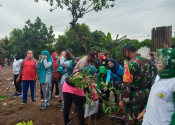 Gerakan Menanam Pohon Terus Berlangsung Di Kota Malang
