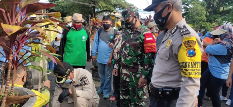 Seribu Bibit Pohon Pule Ditanam Di Lapangan Jambangan