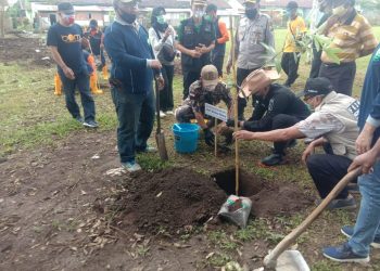 10 Ribu Pohon Pule Kembali Ditanam Di Kota Malang
