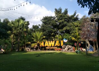 Hawai Group : Mungkin Kami Tak Bisa Bertahan Juga Jika Terus Tutup